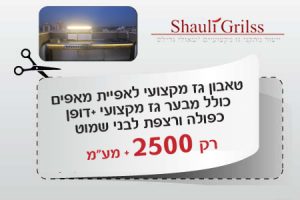 טאבון גז מקצועי רק 2500 שח
