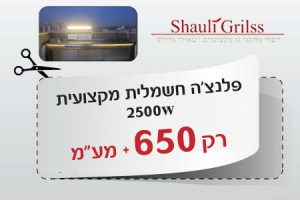 פלנצה חשמלית מקצועית 2500 רק 650 שח